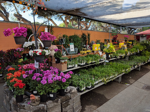 Hardware Store «Orchard Supply Hardware», reviews and photos, 5365 Prospect Rd, San Jose, CA 95129, USA