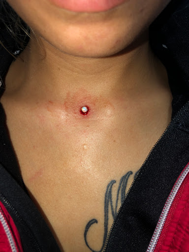 Explore cardinal tattoo ideas, creative tattoo ideas in El Paso, available at R&R tattoo and piercing studio