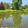 Mt. Airy Arboretum