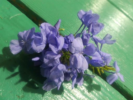 Park «Devon Aire Park», reviews and photos, 10411 SW 122nd Ave, Miami, FL 33186, USA