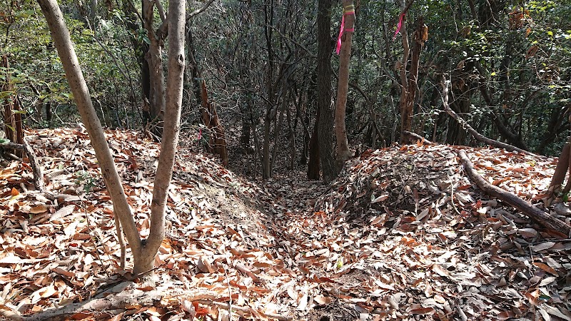 茶臼山城跡