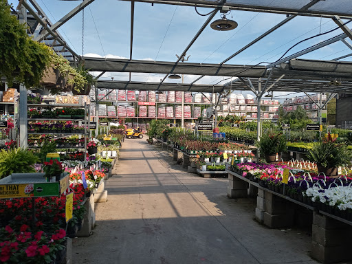 Home Improvement Store «The Home Depot», reviews and photos, 1651 S Poinciana Blvd, Kissimmee, FL 34758, USA