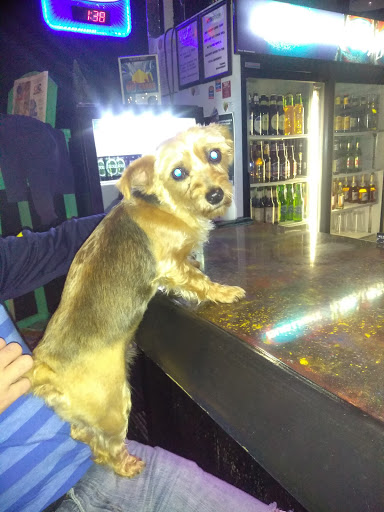 Bar «23rd Street Station», reviews and photos, 1706 23rd St, Galveston, TX 77550, USA