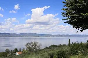 Parco Regionale del Lago Trasimeno image