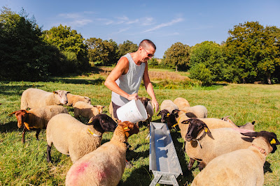 Teba | Abattoir, atelier de découpe et transformation de viande à proximité d'Alençon à Pré-en-Pail-Saint-Samson