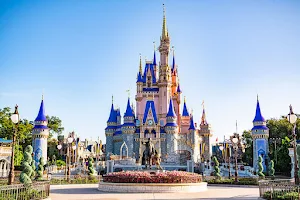 Walt Disney World® Resort image