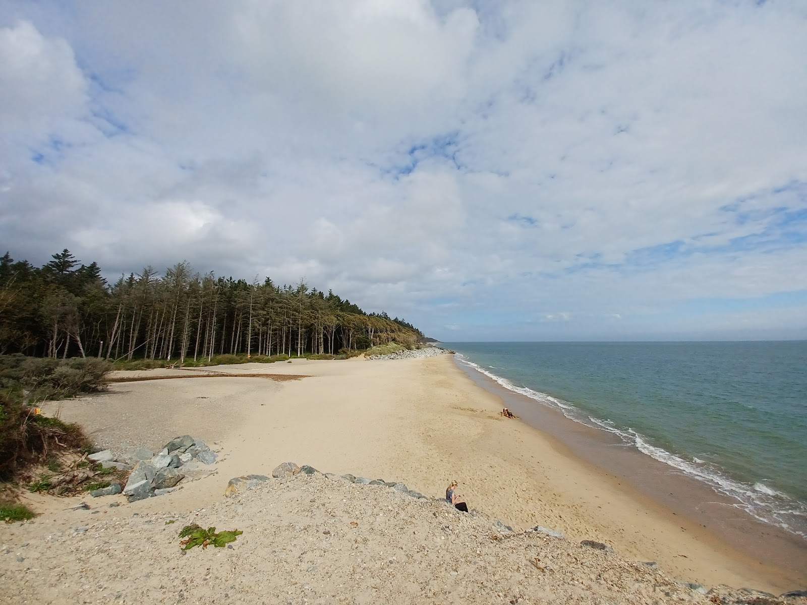 Foto van Kiltennell Bay Beach - goede huisdiervriendelijke plek voor vakantie