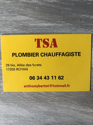 TSA à Vaux-sur-Mer