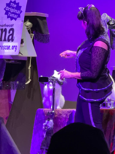 Performing Arts Theater «Catherine A Hickman Theater», reviews and photos, 5501 27th Ave S, Gulfport, FL 33707, USA