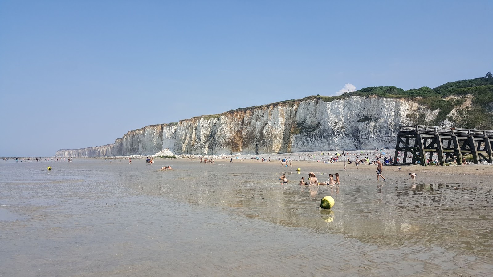 Plage de Veules-les-Roses photo #8