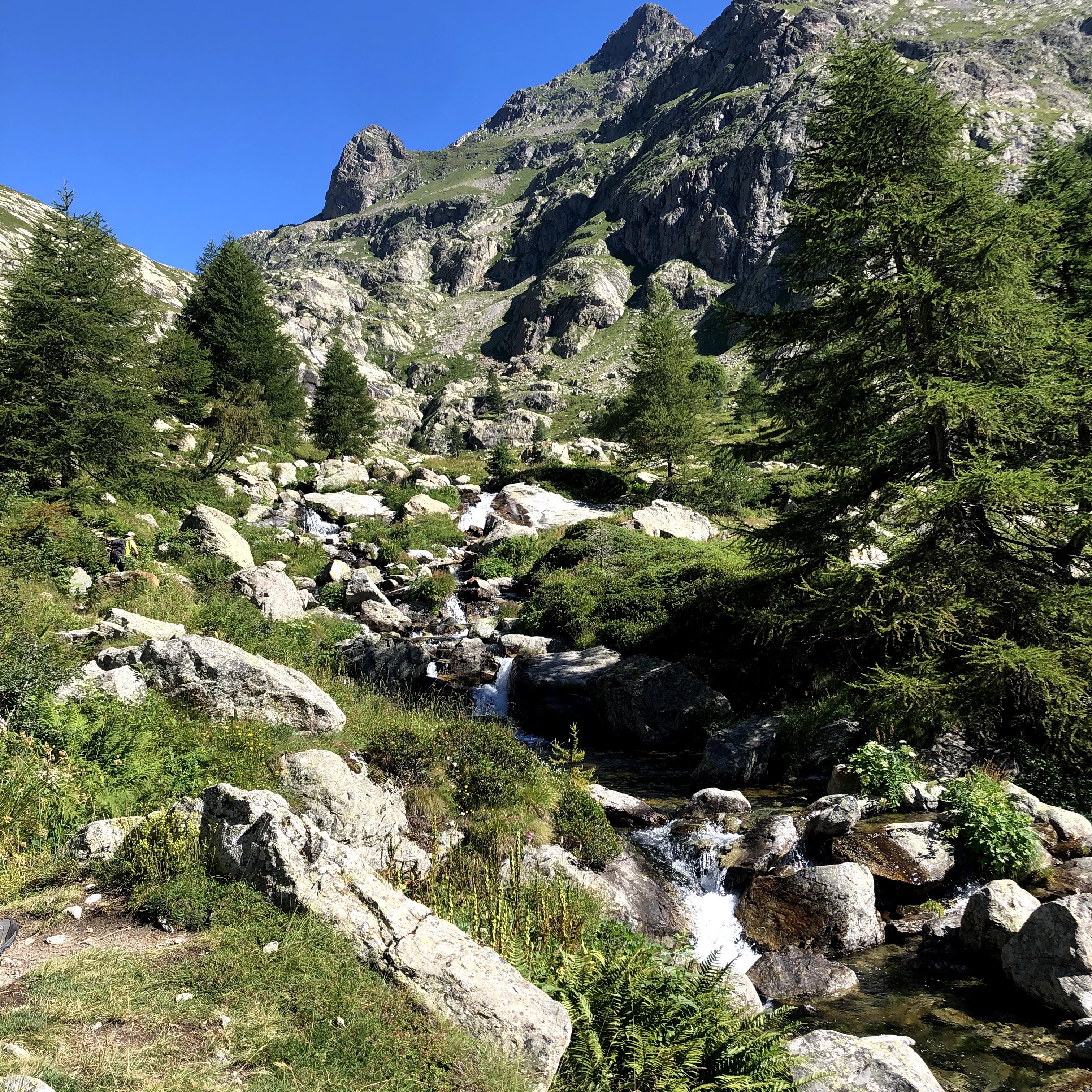 Photo n° 8 de l'avis de Virgile. fait le 28/07/2020 à 18:10