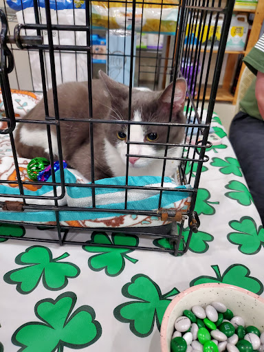 Pet Supply Store «Crunchies Natural Pet Foods», reviews and photos, 2421 Crofton Ln # 11, Crofton, MD 21114, USA