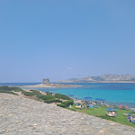 Photo n°5 de l'avis de Sergi. fait le 03/07/2023 à 21:01 sur le  Ristorante Bar La Pelosetta à Stintino