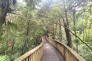 A. H. Reed Memorial Kauri Park image