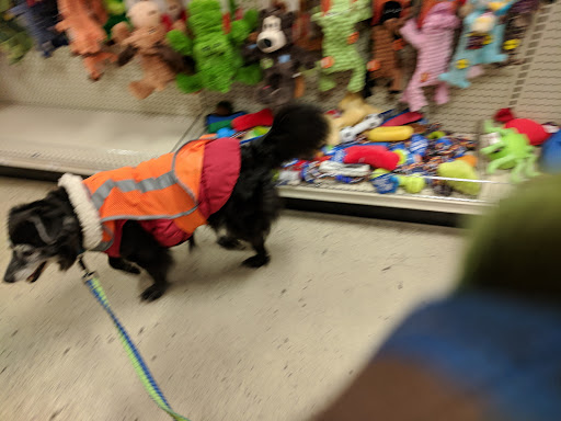 Pet Supply Store «Red Mill Pet Supplies», reviews and photos, 1111 W Chicago Blvd # 120, Tecumseh, MI 49286, USA