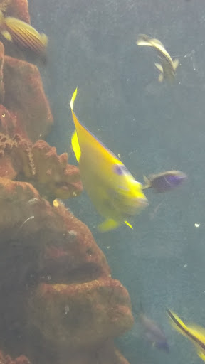 Aquarium «Greater Cleveland Aquarium», reviews and photos, 2000 Sycamore St, Cleveland, OH 44113, USA