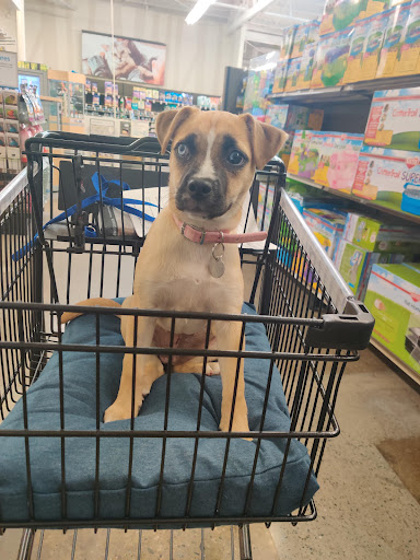 Pet Supply Store «Petco Animal Supplies», reviews and photos, 845 S Arroyo Pkwy, Pasadena, CA 91105, USA