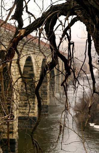 Tourist Attraction «Stone Arch Bridge», reviews and photos, 100 Portland Ave, Minneapolis, MN 55401, USA