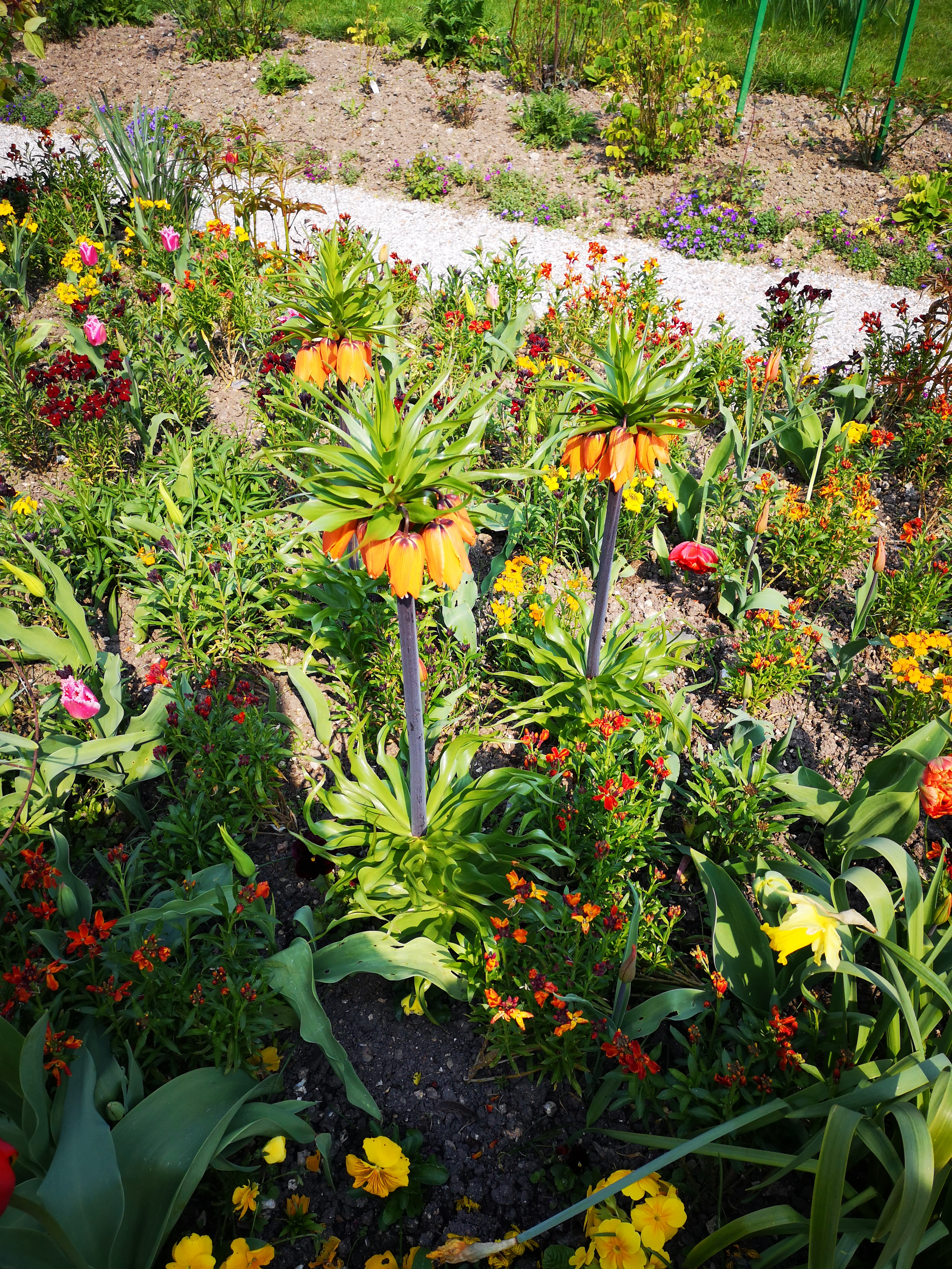 Photo n° 5 de l'avis de Romy.i fait le 13/04/2019 à 16:46