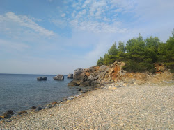 Foto van Ani beach gelegen in een natuurlijk gebied