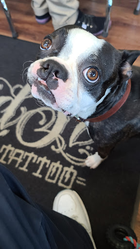 Tattoo Shop «3rd Street Tattoo», reviews and photos, 331 Pacific Coast Hwy, Hermosa Beach, CA 90254, USA