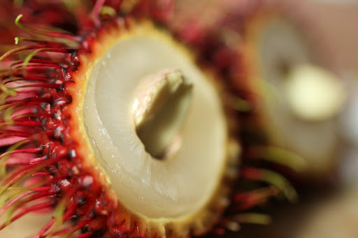 Asian Grocery Store «Thien Thanh Supermarket», reviews and photos, 455 Keyes St, San Jose, CA 95112, USA