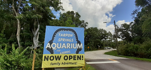 Aquarium «Aquarium Tarpon Springs», reviews and photos, 850 Dodecanese Blvd, Tarpon Springs, FL 34689, USA
