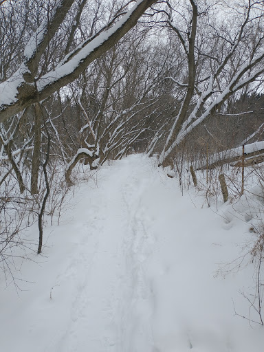 Bicycle Store «Wheel & Sprocket», reviews and photos, 5722 S 108th St, Hales Corners, WI 53130, USA