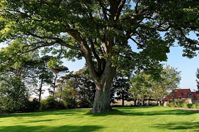 Moore's Tree Service and Stump Grinding