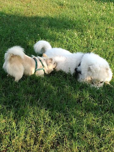 Sipcam S.p.A. - Stabilimento à Salerano sul Lambro