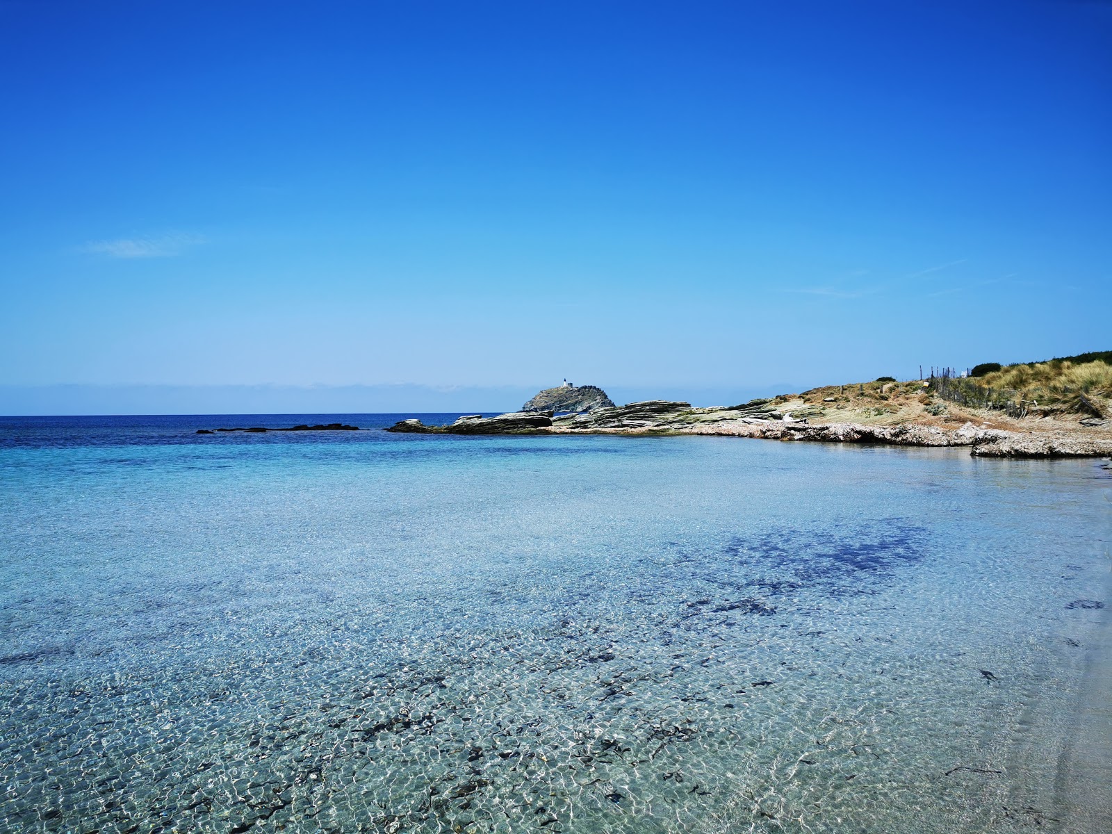 Foto av Barcaggio beach bekvämlighetsområde