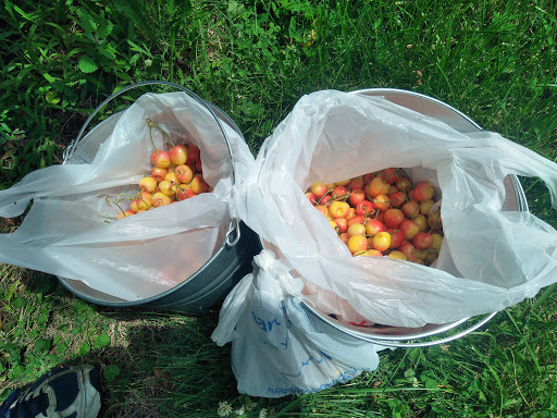 Produce Market «Washington Fruit Place At Barrett Orchards», reviews and photos, 1209 Pecks Canyon Rd, Yakima, WA 98908, USA