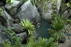 Tamarind Springs image