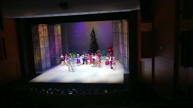 Opinii despre Държавна опера Пловдив în Пловдив - Културен център