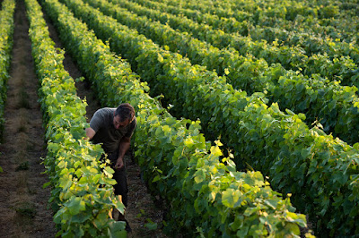 Champagne Legret & Fils à Talus-Saint-Prix