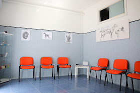 Ambulatorio veterinario San Prisco vet
