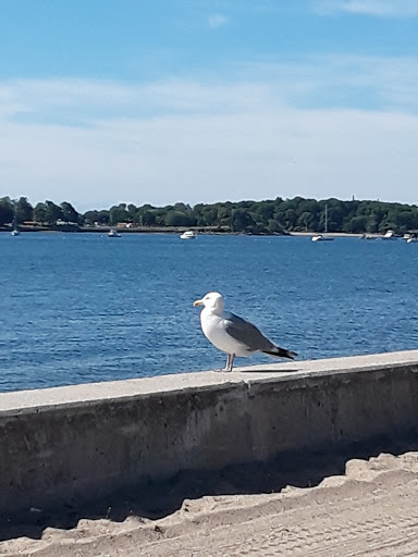 Park «Lyons Park», reviews and photos, Lothrop St, Beverly, MA 01915, USA