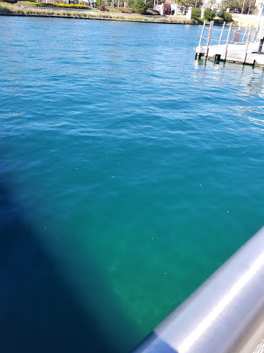 Tourist Attraction «Universal CityWalk», reviews and photos, 6000 Universal Blvd, Orlando, FL 32819, USA