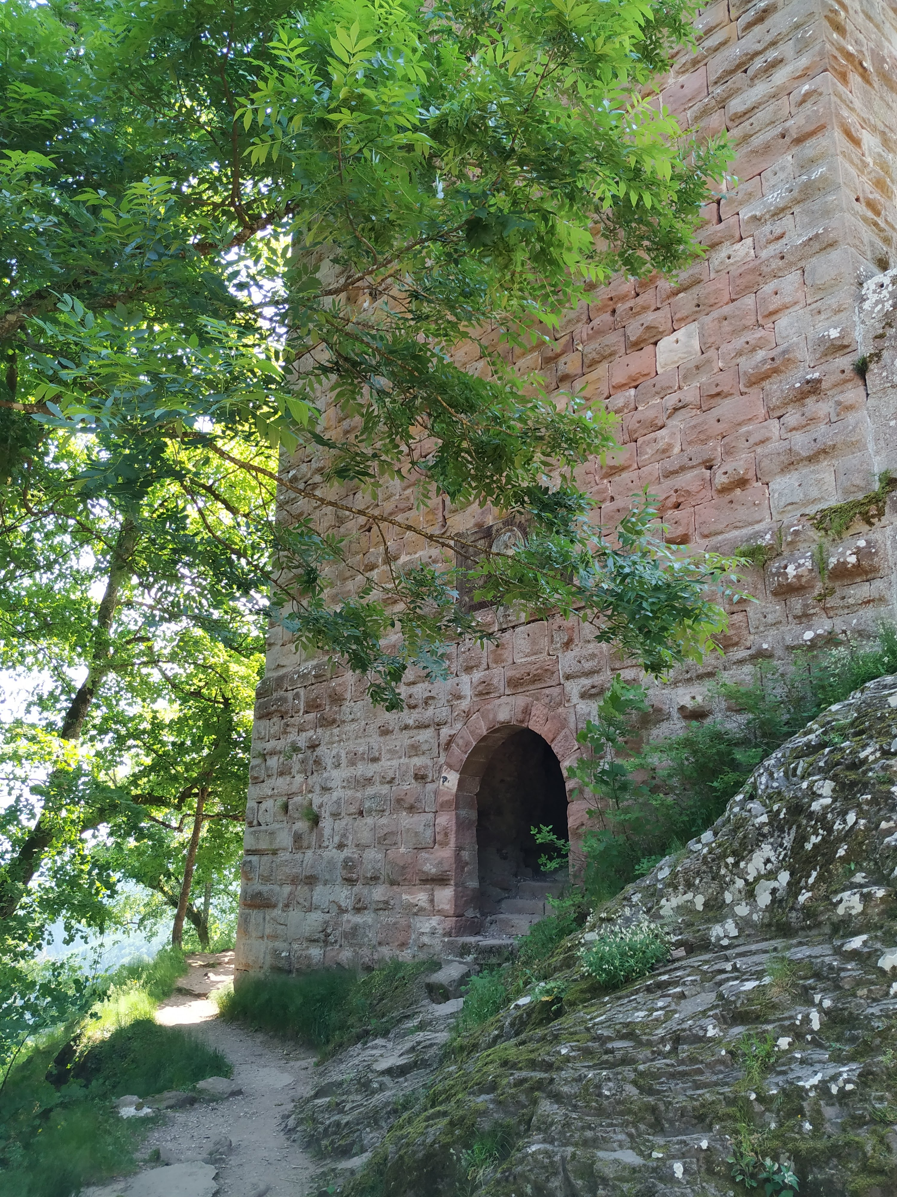 Photo n° 6 de l'avis de Antonin.R fait le 09/06/2019 à 21:46