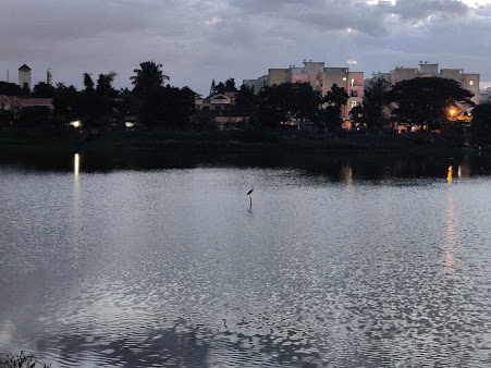 Google Maps image 15