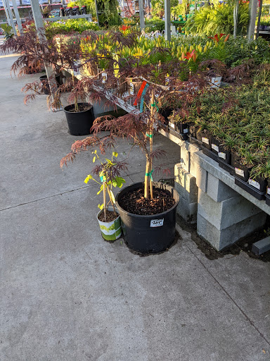 Home Improvement Store «The Home Depot», reviews and photos, 1200 East-West Connector, Austell, GA 30106, USA