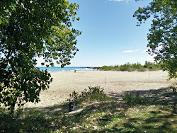Nunn Beach'in fotoğrafı - rahatlamayı sevenler arasında popüler bir yer