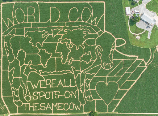 Tourist Attraction «Oregon Dairy Corn Maze», reviews and photos, 1289 Creek Rd, Lititz, PA 17543, USA