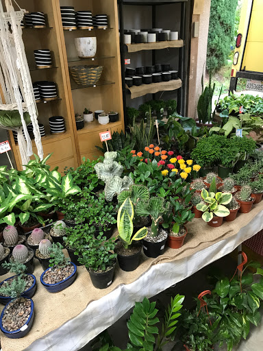 PlanterSam image