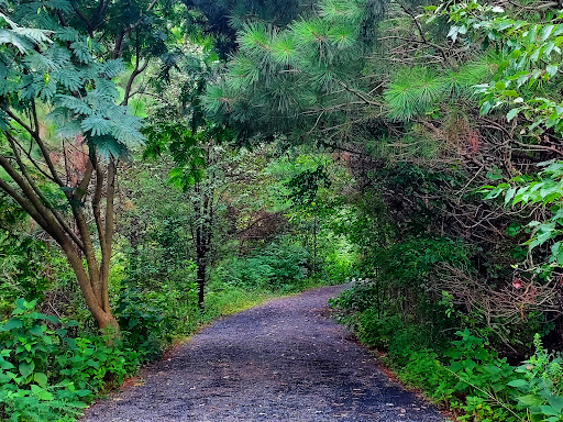 Park «Garrard Landing Park», reviews and photos, 8000 Holcomb Bridge Rd, Alpharetta, GA 30022, USA