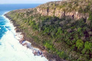 Christmas Island National Park image