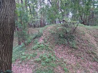 膳城跡