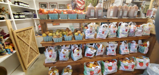 Gift Shop «Beech Spring Gift Shop», reviews and photos, 11600 Lee Hwy, Sperryville, VA 22740, USA