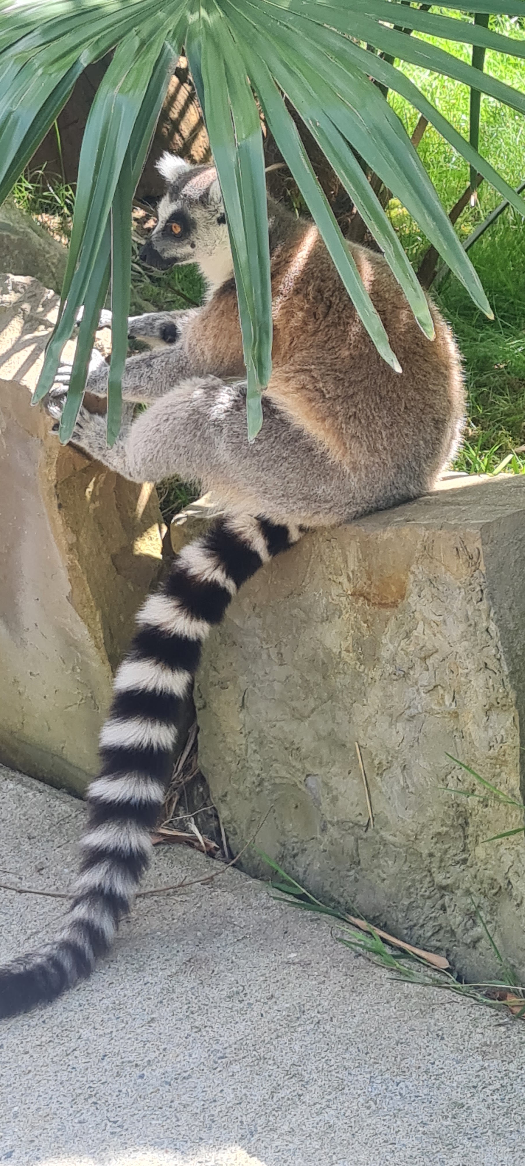 Photo n° 4 de l'avis de sandrine.e fait le 03/06/2023 à 18:16