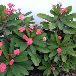 Photo n°1 de l'avis de Franziska.o fait le 31/10/2021 à 07:09 sur le  CICO' BOUTIQUE HOTEL à Torre Santa Sabina